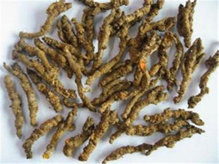 坐月子可以喝黄连水吗