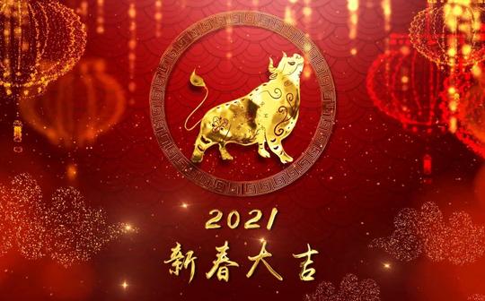 【模板】牛年祝福动画视频模板，新年愿望防疫顺利拜年视频制作
