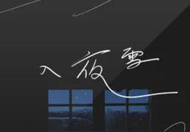 入夜雪(陈子晴)