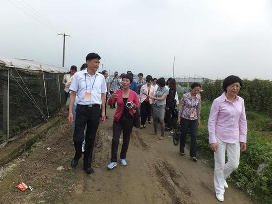 厦门市人大副主任何清秋率领市人大代表视察同安区妇女创业项目