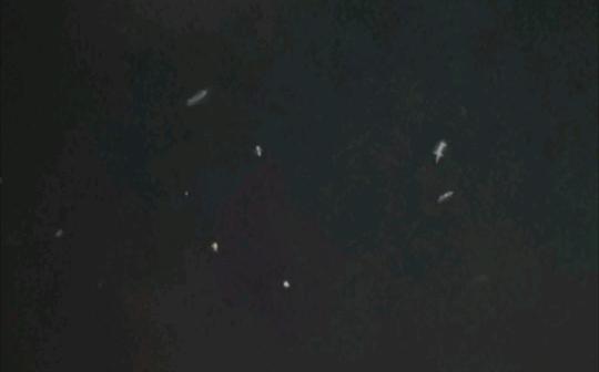 “夏夜繁星”