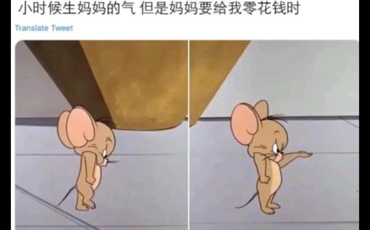论网络上那些笑到肚子痛的沙雕图片(第十五期)