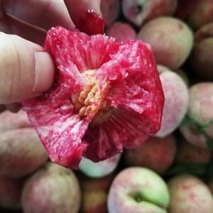 正宗湖北老树血桃新鲜现摘香甜孕妇雪桃拍2发5中华红心桃子水果