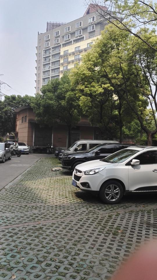 资产诉讼网上海法拍房过户清场