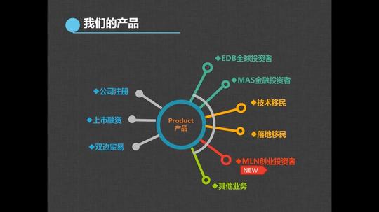技术移民,长期居住准证,工作准证,创业准证明良核心业务新加坡