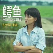 鳄鱼(彭佳慧)