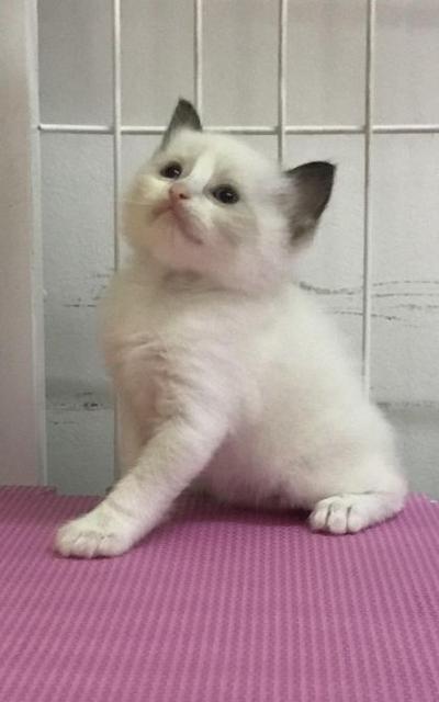 泉州还有疫苗吗