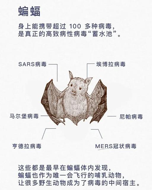 宝宝为什么会有寄生虫