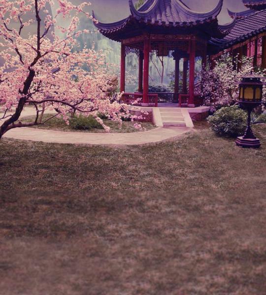 拍照快手直播背景布古装主播背景布背景背景布全家福古风背景33