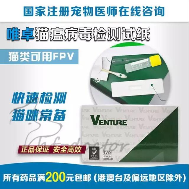 家里的宠物会感染新型冠状病毒吗