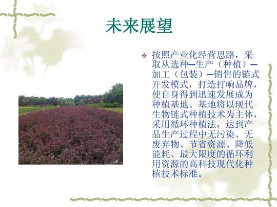 花卉栽培项目创业计划书ppt