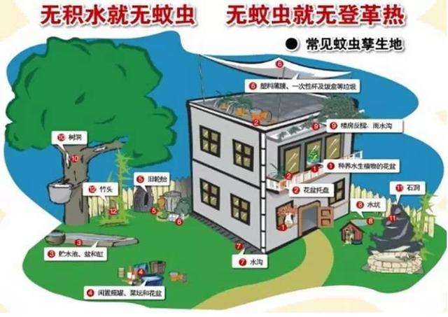 2019年登革热疫情