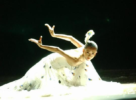 著名舞蹈艺术家杨丽萍舞蹈18个真人表演(经典