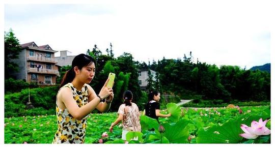 在农村开个农家乐赚钱吗?