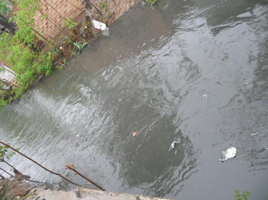 地理研究性学习:泾惠渠干沟雨金河段污染状况调查