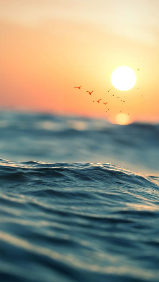 夕阳海洋宣传风景h5背景素材