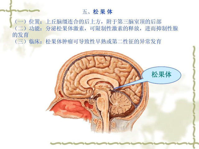 开灯睡觉会引起孩子性早熟吗