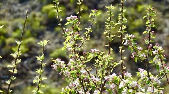 春节去哪儿超?错峰,走偏门儿,甘孜这些地方你慢慢耍
