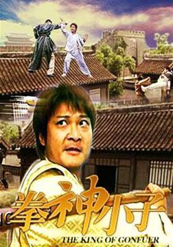 拳神小子主演钱嘉乐