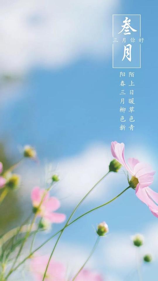 三月你好的海报图片大全带字3月你好正能量心情说说