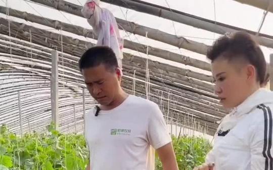 新农人计划2021冲姐带你了解分享新型农业种植灌根不再费力