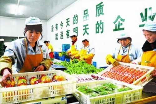 沙井专业承接饭堂承包食堂蔬菜配送公司