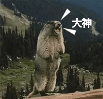 尖叫土拨鼠表情包抽搐gif动图