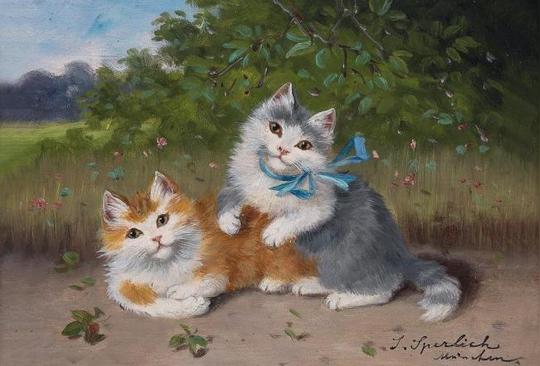 两只小猫图片