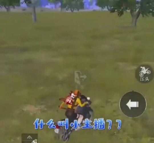 和平精英主播牧童,被队友质疑小主播,网友:实力不允许