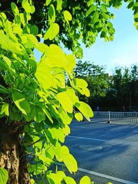 蓝天绿叶框素材--汇图网huitu.com