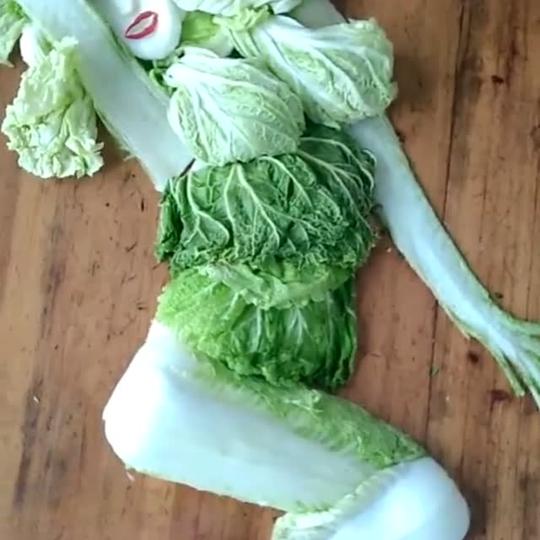 大白菜也成人了-搞笑-3023视频-3023.com