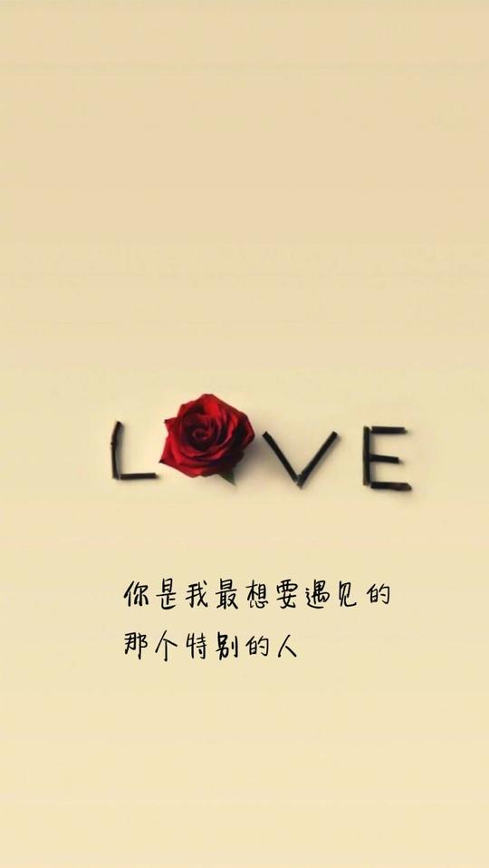 爱情文字语录图片