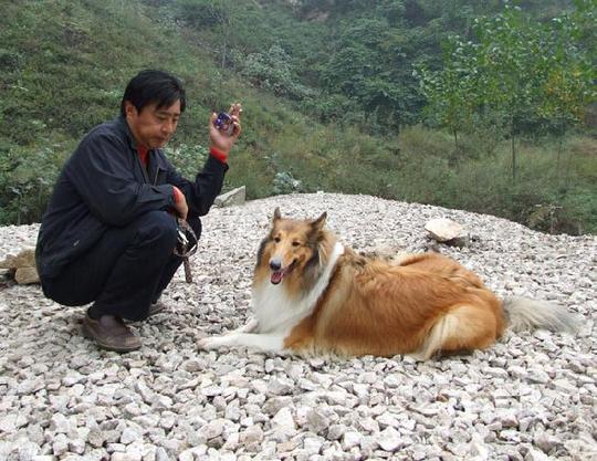 每天狗肉馆里人来人往,生意兴隆,馆子的后院便是狗的宰杀场地,从表姐