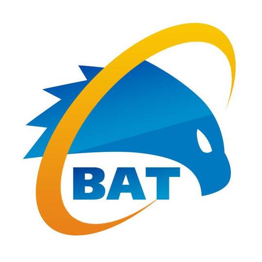 氧气资本合伙人杨柳微媒网络ceo天狐bat精英俱乐部合伙人