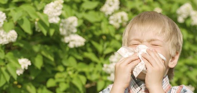 秋季预防鼻炎应该注意哪些?