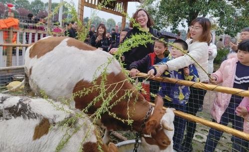 过“春社”品农趣，乡村游多了民俗看点