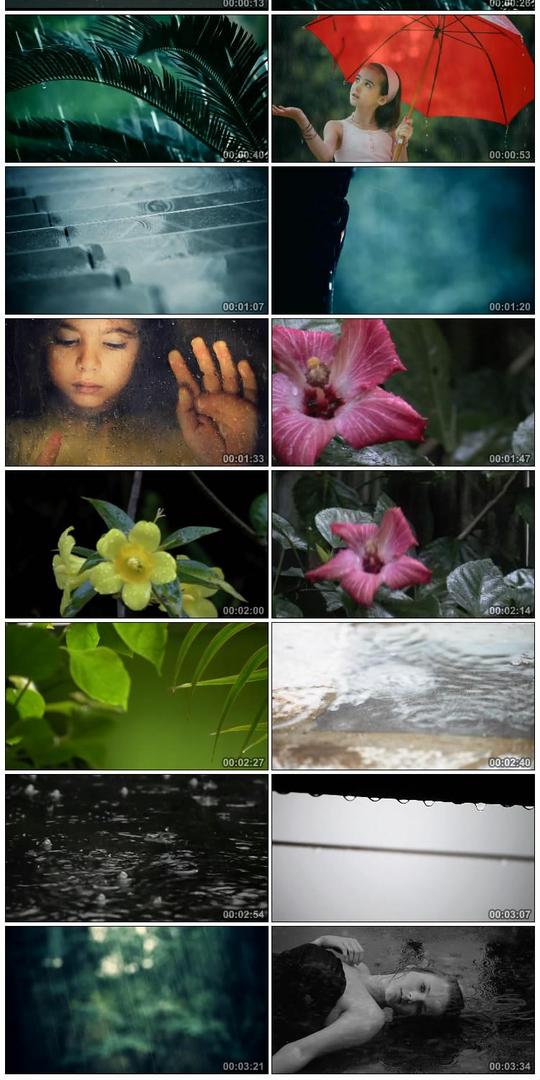 忧伤小雨雨滴雨点下雨伤感雨打花枝树枝小雨镜头高清实拍视频素材