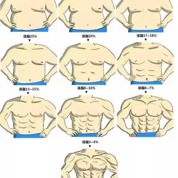 百分之15的体脂率照片 头条搜索