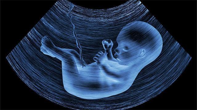 怀孕晚期如何通过b超看出胎儿性别