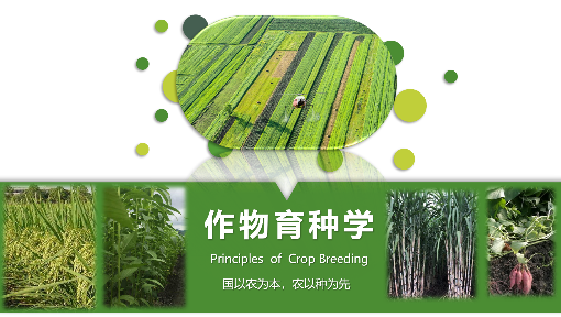 世界预防中风日2021是第几个