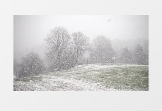 暴风雪动态视频素材