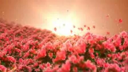 l2255-节目歌曲映山红杜鹃花鲜花led大屏晚会舞台背景视频素材