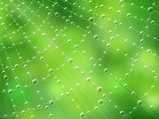 蜘蛛网_遮盖_雨_图片大全—全景创意图库（quanjing.com）中国领先的正版图片视频素材网站