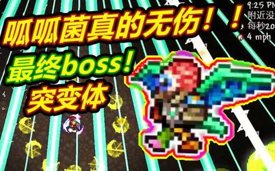 【呱】泰拉法狗41:好家伙!禁冲刺无敌帧!突变体3阶