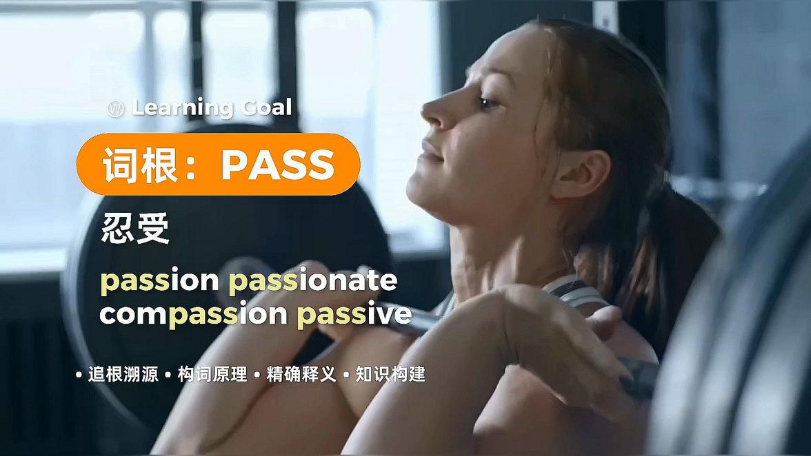 pass是什么意思