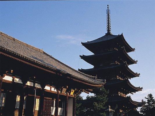 寻觅奈良寺庙中的镇寺大佛
