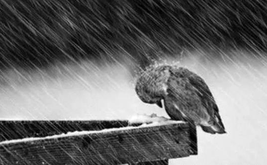 生活很累现实很残酷的句子-语录网