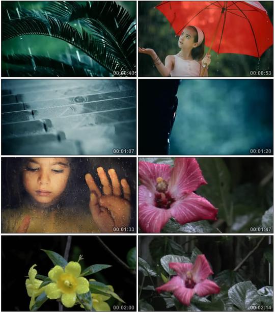 忧伤小雨雨滴雨点下雨伤感雨打花枝树枝小雨镜头高清实拍视频素材