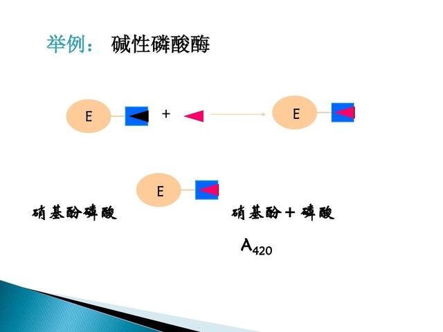 碱性磷酸酶偏高吃什么食物好