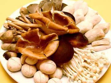 适合孩子吃的菌类食物